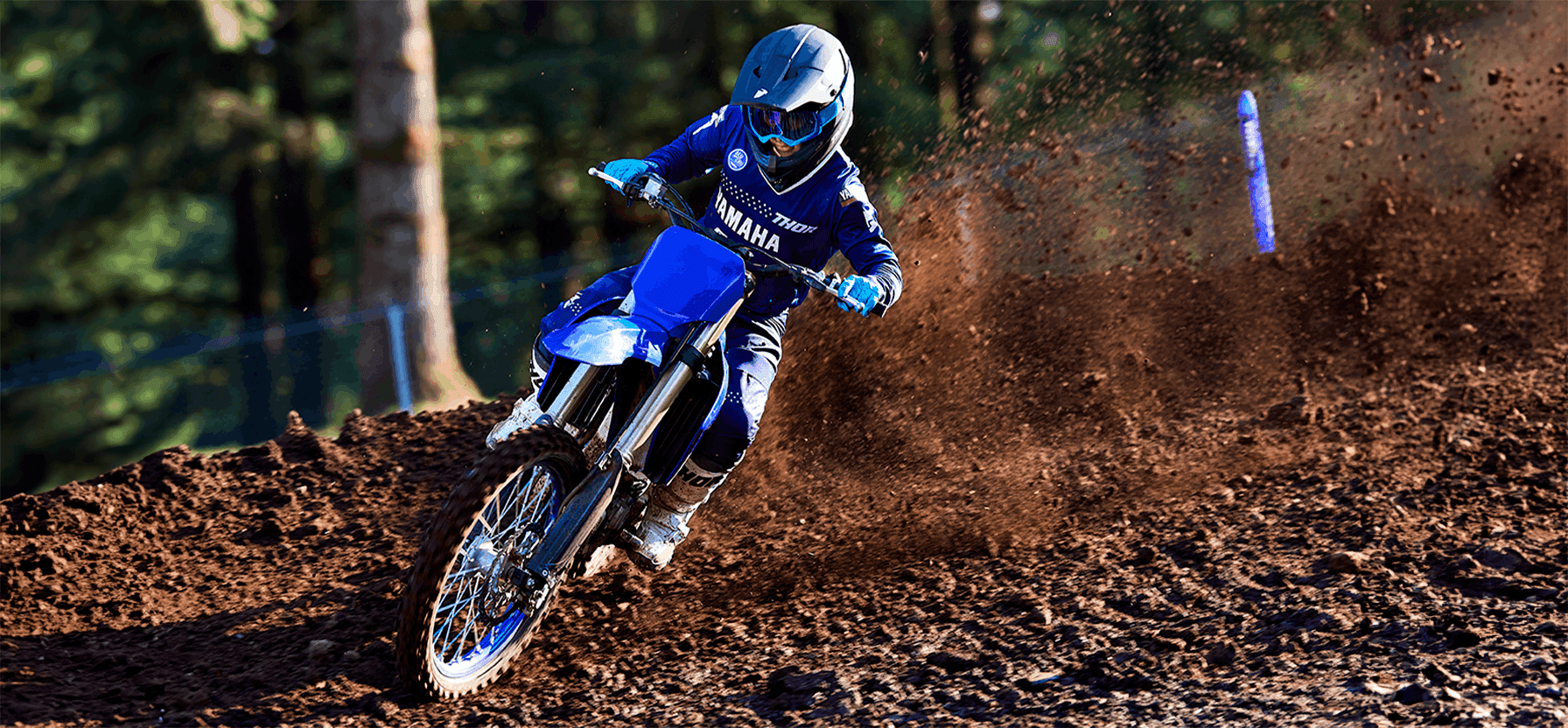 CONSAGRADO MOTOR 4 TEMPOS DE 250 CC